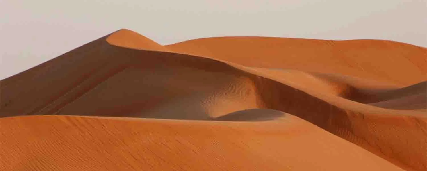 Desert Nights Camp-1